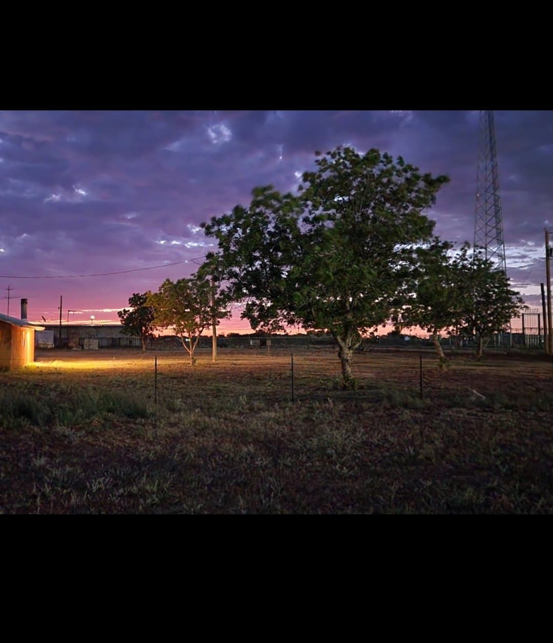The work yard at dusk: a lit shop, trees, open ground, and a purple West Texas sky